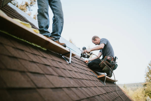 Roof Gutter Cleaning in North Baltimore, OH